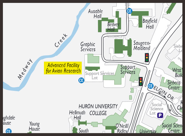 Campus location of AFAR